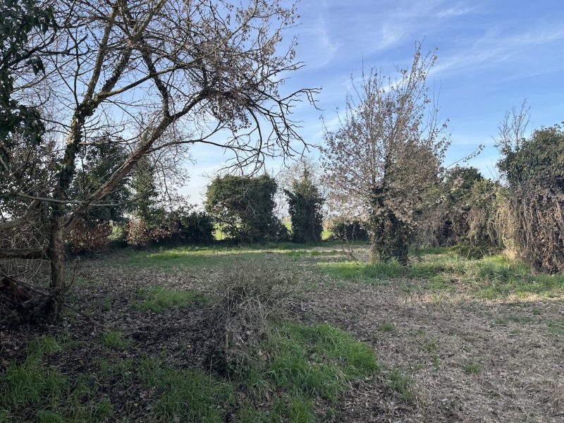 L099f-vendita-SANTAMARIA (4)